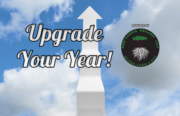 Upgrade Your Year Contest Rules